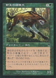 所信表明 《覚前 輝也》 | Team Cygames